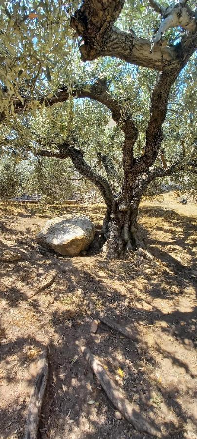 The Byzantine Wall House Isthmia Bagian luar foto